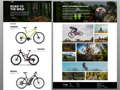 Bike Store Website Mockup