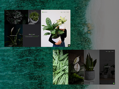 Plantopedia - company profile website