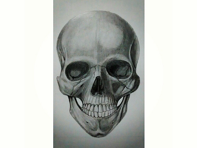 Skull (Calavera) drawing graphite hand drawing illustration skull