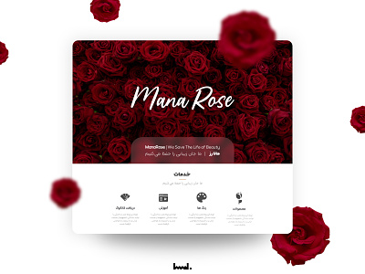 rose website adobe xd flower rose ui uidesign uiux web website