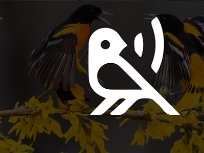 Modern Minimalist Business Logo Design | Bird Logo Design animation brand logo brandinglogo businesslogo companr companylogo design illustration logo minimal minimalist vector visual design