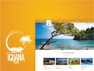 Iguana Travel travel ui web design