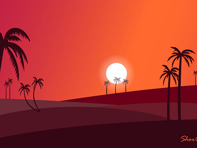 sunset palms