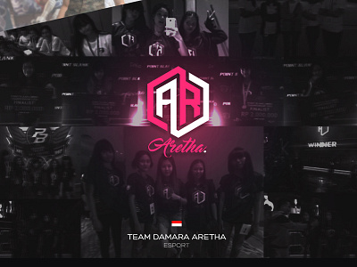 Mainbanner Gaming Team Aretha