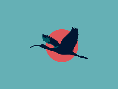 IBIS bird logo color colorful design colorful logo design flying bird graphic design ibis illustration logo logo design logo designer vector