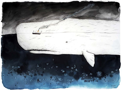 White whale illustration illustrator watercolor watercolour watercolour illustration