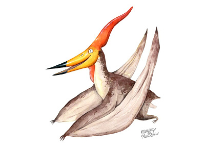 Pterodactyl dinosaur illustration illustrator natural history pterodactyl watercolor watercolour watercolour illustration