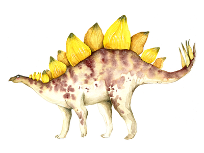 Stegosaurus dinosaur illustration illustrator natural history watercolor watercolour watercolour illustration