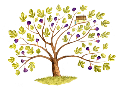 Fig Tree illustration illustrator watercolor watercolour watercolour illustration