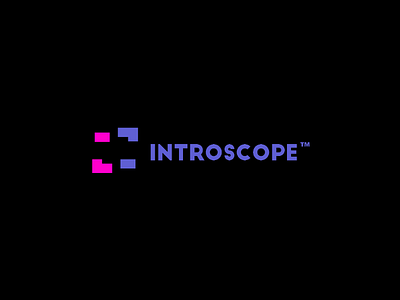 INTROSCOPE