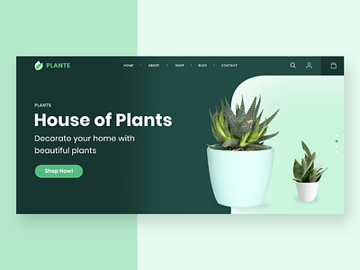 Plante website design