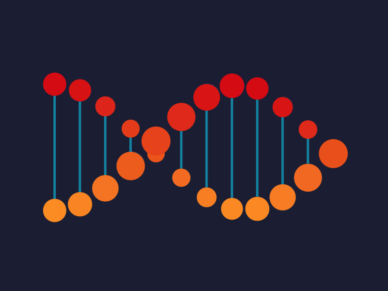 DNA Loading animation dna loader loading loading animation loading bar science