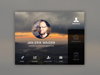 User Details – Profile Box box icons interface navigation photo profile skills tabbed ui user ux webdesign