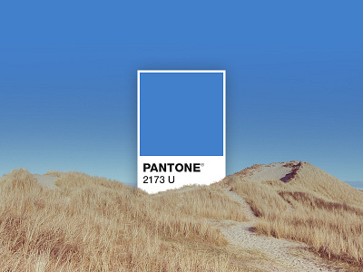 PANTONE 2173 U