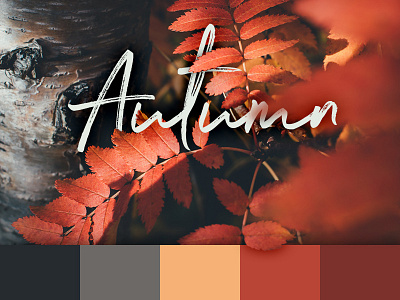 Color Scheme – Autumn Leaves