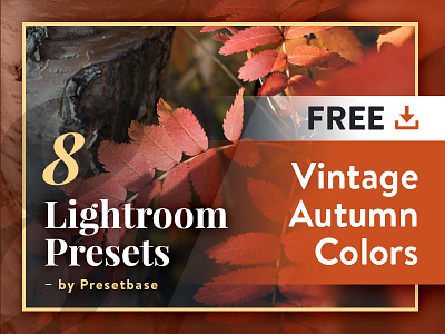 8 Free Lightroom Presets - Vintage Autumn Colors banner cover design image lightroom photography presets typography ui vintage