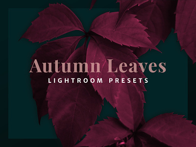 Autumn Leaves - Lightroom Presets cover dark flower image lightroom photo typography