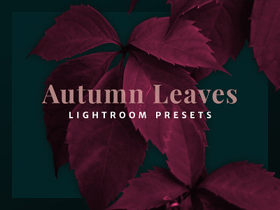 Autumn Leaves - Lightroom Presets