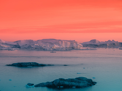 Pantone Color of the Year 2019 | Living Coral color design greenland inspiration pantone photo photograhy trend