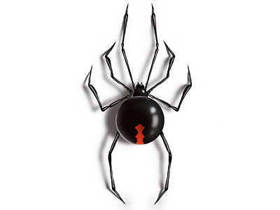 Spider illustraion procreate procreate art procreateapp