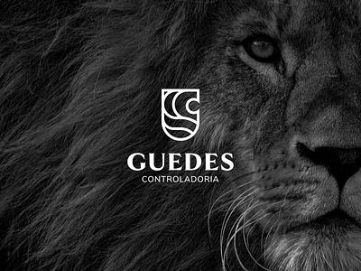 GUEDES (1/4) account accounting advisory brand brand identity branding finances lion lion logo logo