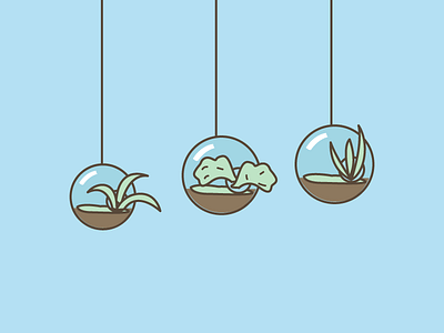 Hanging Plants II