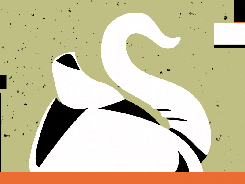 #SpeedProjects: Towel Day Short adams bird douglas pigeon short swan towel towel day
