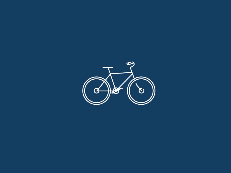 Bicycle Cycle
