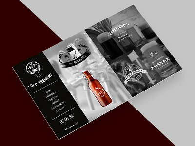 Beer Website interface design mock mockup ui ui design ux website