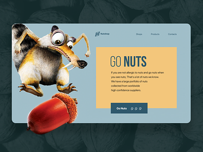 NutShop Demo app branding landing page minimal product ui ux uxdesign web design website