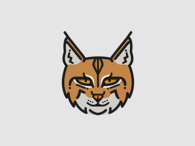 Bobcat Dribbble african animal attenborough bobcat cat feline planet earth purr wildlife