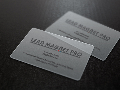 Lead magnet pro