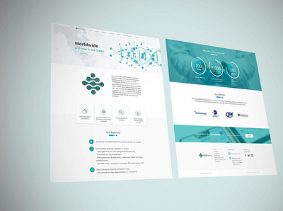 OEP pharma branding design designagency freelancing ui ux webdesign website zeddesign zedteam zedteamdesign