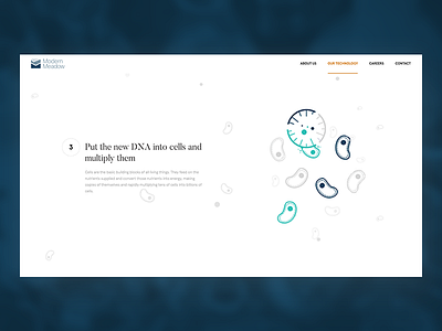 Modern Meadow design illustration marketing science ui ux