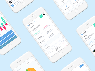 Financial Management App charts financial app ios iphone minimal mobile ui ux