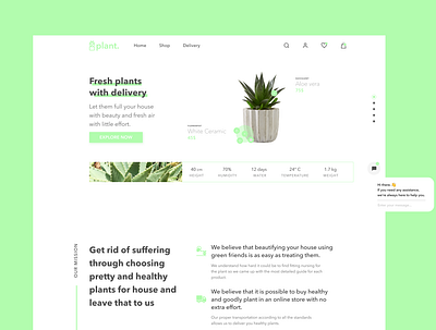 E-commerce Succulent's Shop design minimal ui ux web website