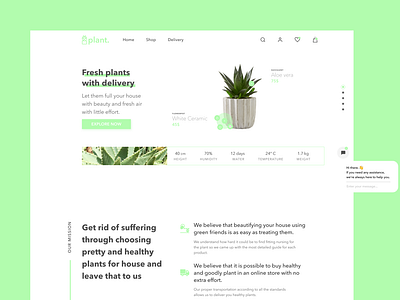 E-commerce Succulent's Shop