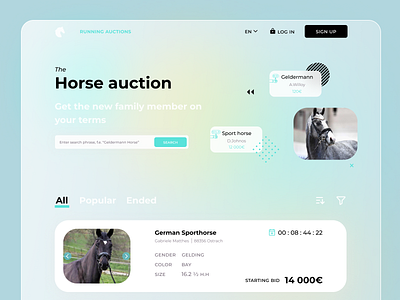 Website e-commerce for the horse auction design glassmorphism ui ux website