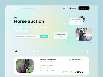 Website e-commerce for the horse auction