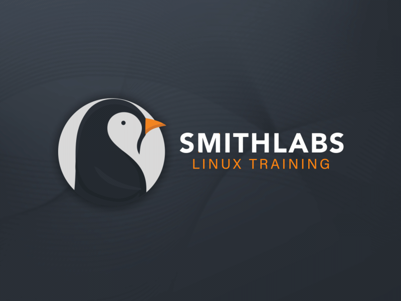 Logo Animation for SMITHLABS