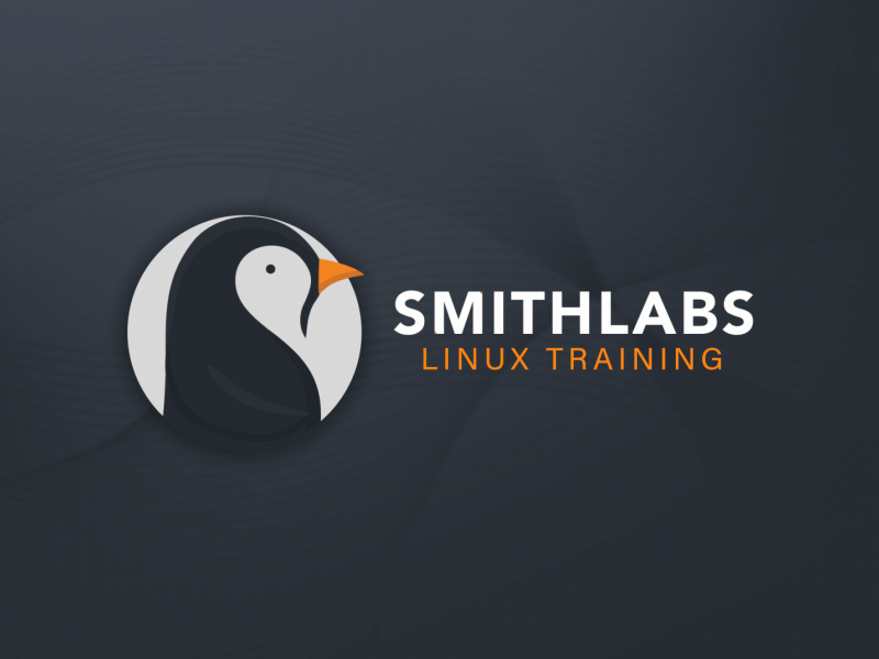 Logo Animation for SMITHLABS adobe after effects intro animation logo logo animation motion design motion graphics youtube intro