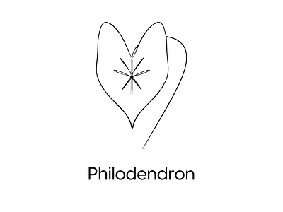 Philodendron | Icon Set Outline