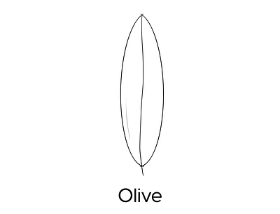 Olive Leaf - Icon design branding design flat freehand icon illustration line logo minimal olive procreate