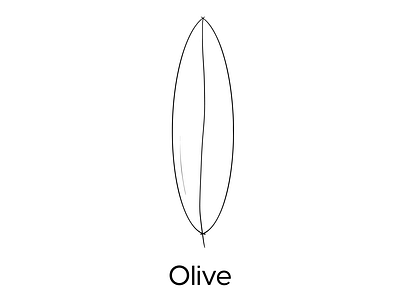 Olive Leaf - Icon design