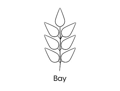 Bay Leaf - Icon Design branding design drawing flat freehand icon illustration leaf line logo minimal pattern procreate