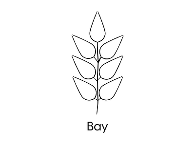 Bay Leaf - Icon Design branding design drawing flat freehand icon illustration leaf line logo minimal pattern procreate