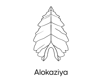 Alokaziya leaf - Icon Design drawing freehand icon icon design leaf line logo minimalflat nature plant thin