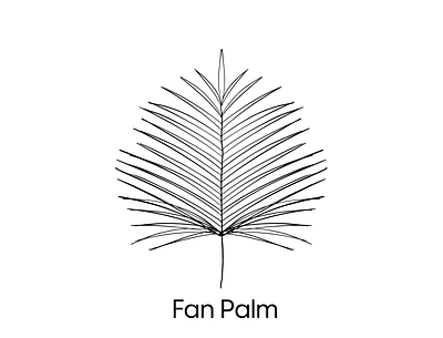Fan Palm branding design flat illustration illustrator logo minimal pattern