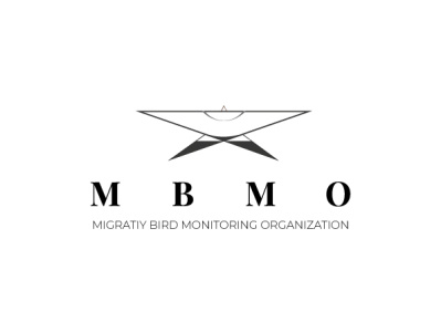 mbmo