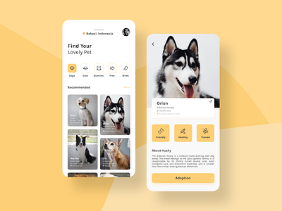 Pet Adoption App cat clean daily ui design dog minimal mobile app mobile design mobile ui pet pet adoption pet app pet care pet shop petshop trending ui ui ux ui design ux